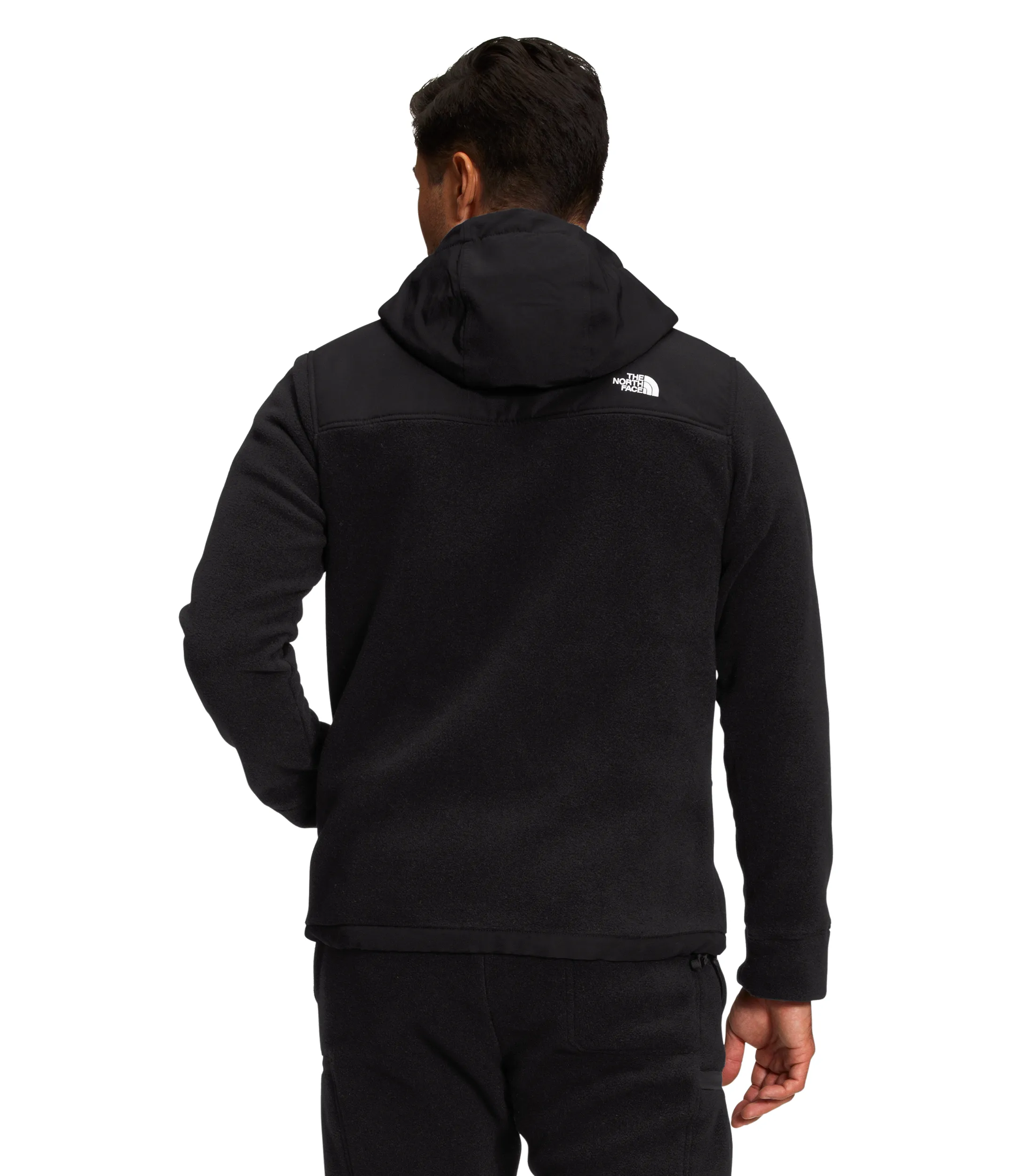 Alpine Polartec 200 Full Zip Hoodie Men's