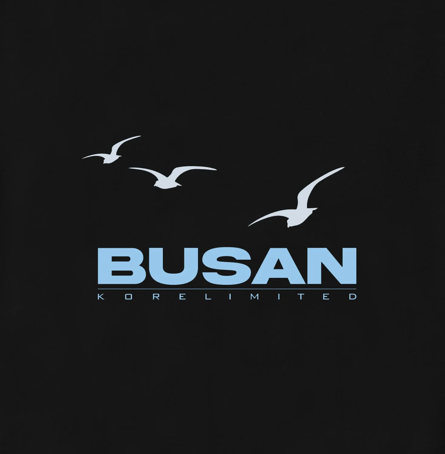 BUSAN HOODIE (BLACK)