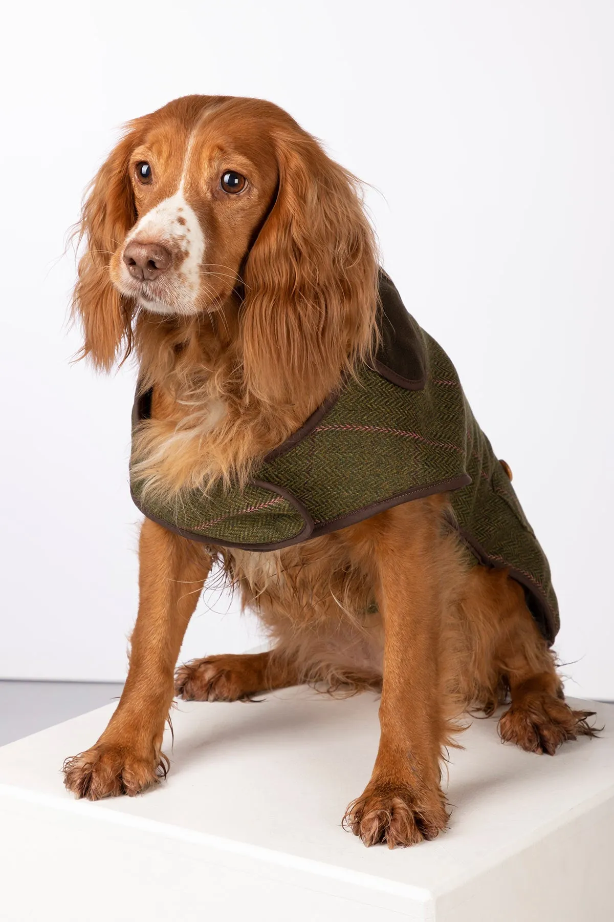 Fleece Lined Tweed Dog Coat