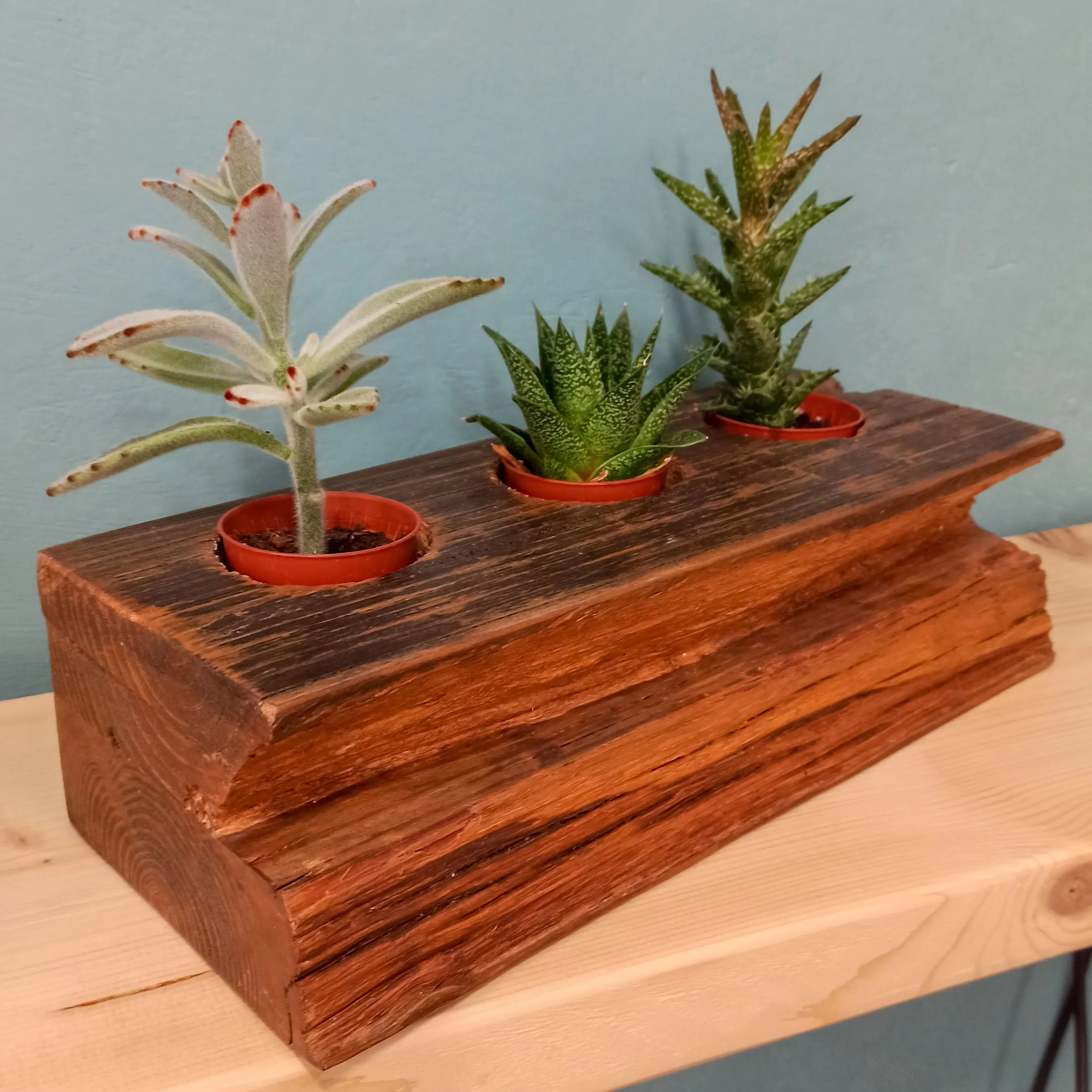 Recycled Wood Plant Holder for 3