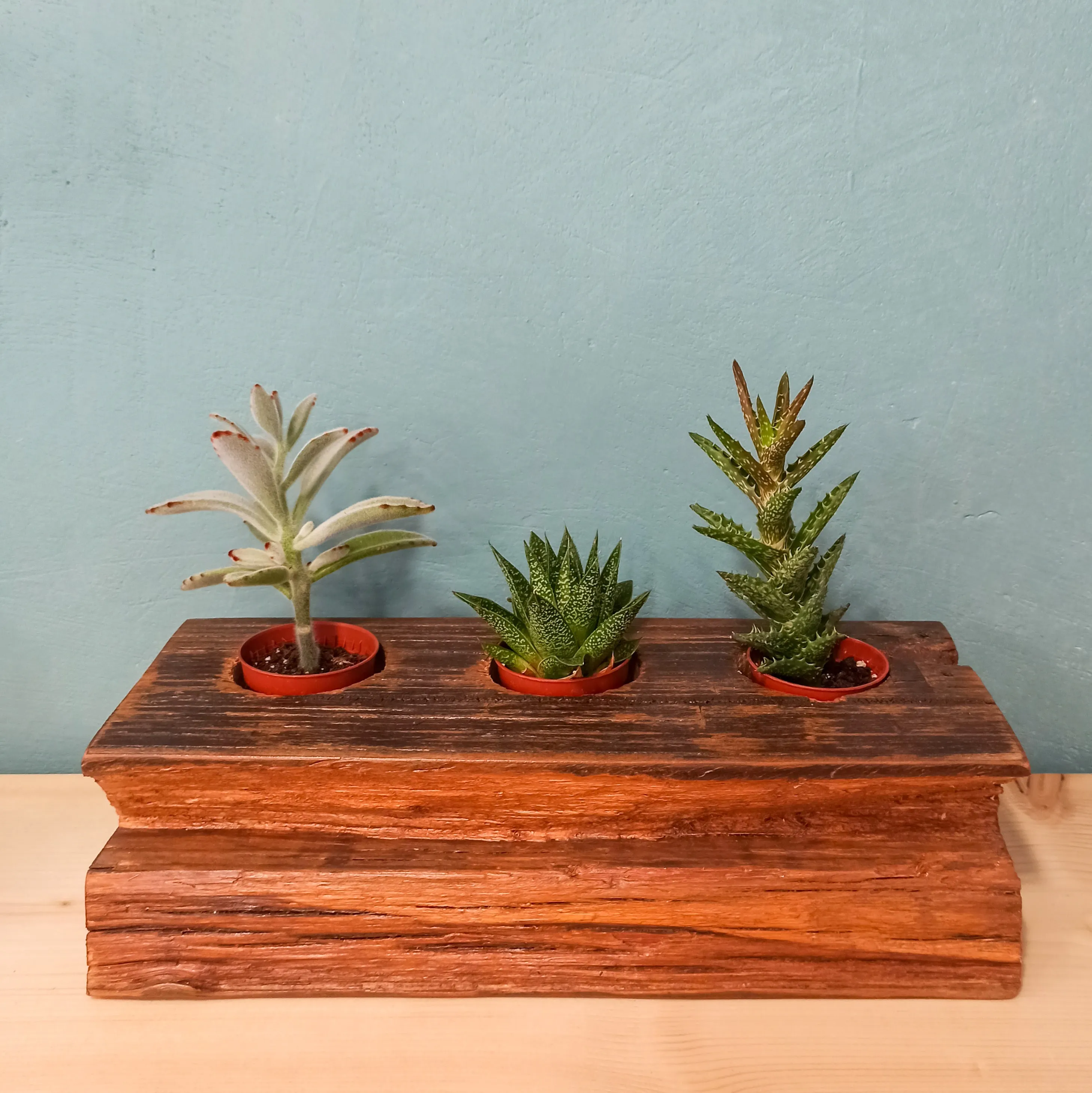 Recycled Wood Plant Holder for 3