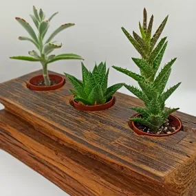 Recycled Wood Plant Holder for 3